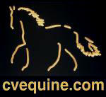 Cumberland Valley Equine Service